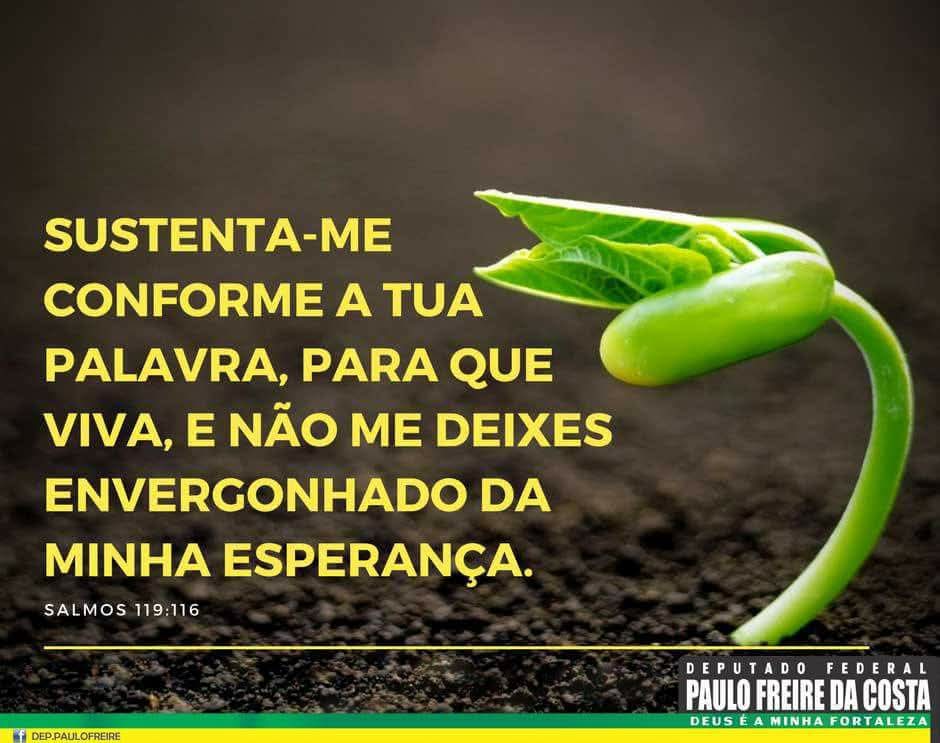 deleilati's tweet photo. https://t.co/PDOjHG03iA