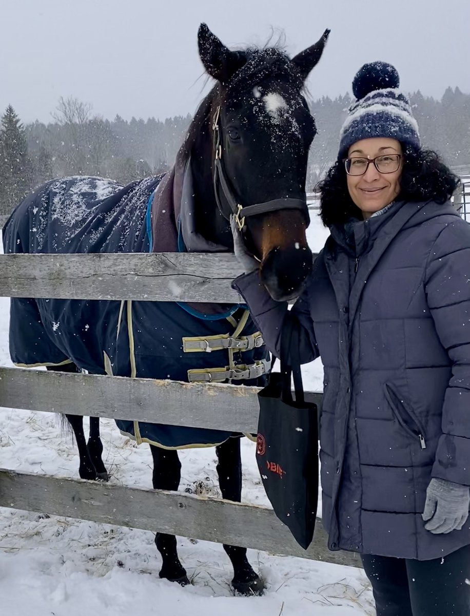 ClothesHorse39's tweet image. ~Sunny, Sassy &amp;amp; Phil having fun in the snow!~🏇🇨🇦💙🤍❄️⛄️ #Thoroughbreds #HappyHorses #FridayFeeling #HorseLove #Winter #Snow