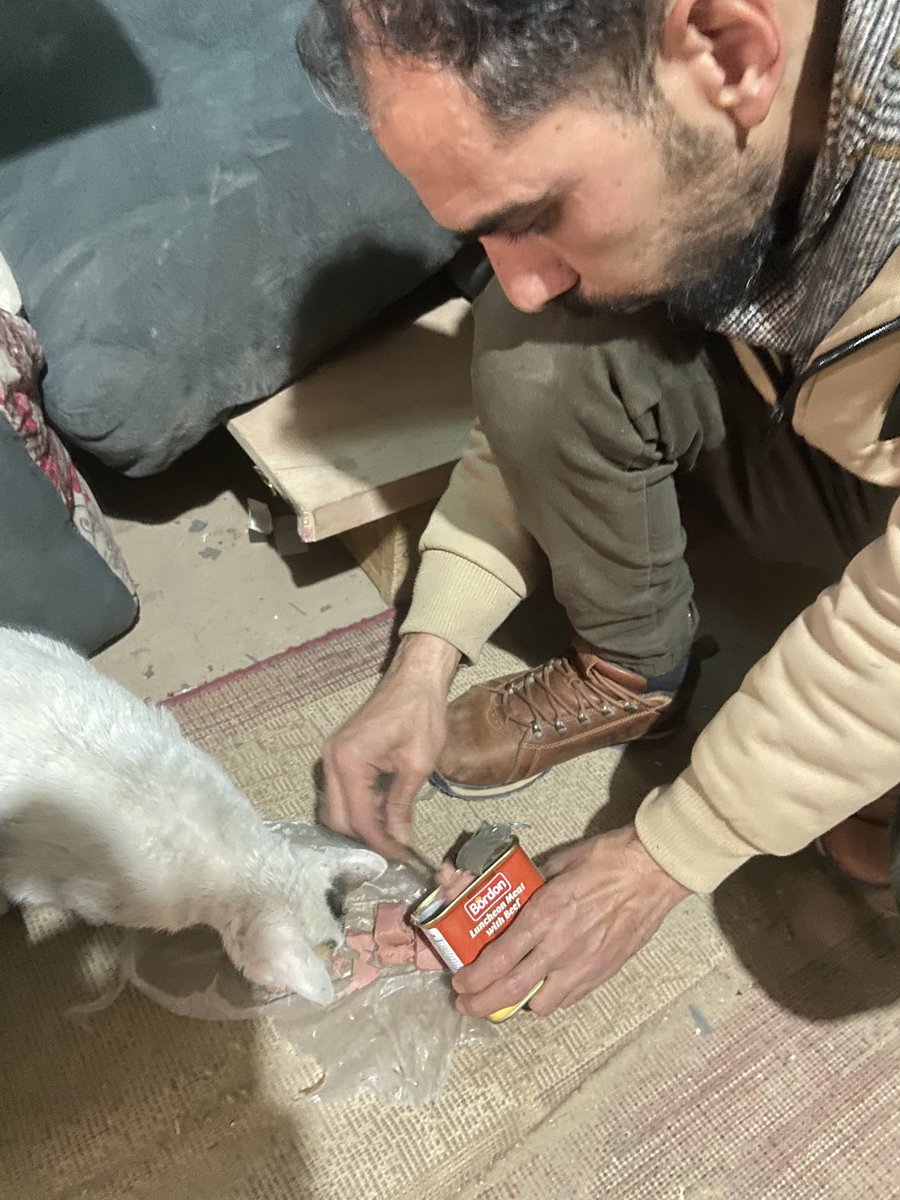 SARAMoh69489245's tweet photo. Hello, my friends, I am grateful to you for your support for our cats,🫂 but they are very hungry and there are so many of them that I must write to you every day asking for your help.🙏🙏😿 They are very hungry and sad when I cannot visit to feed them, and they are left with no option but to eat through garbage or human waste to survive, which is heartbreaking, my friends.💔😿😿💔 I hope you understand why I continue to talk with you about this so frequently. Of course, the cats are not the only ones suffering with a miserable life, and many people are in need of our help.😢 Many local kitchens are being forced to close like ours was, and I am worried that people will starve. We can not let the families living in the cruelty free tent camp starve or go without their necessary medications, my friends.🙏🙏⛺️💔 Please help them if you feel like you can.🙏🫂 I am very worried about the terrible costs to survive for my own family and the rising debts I must pay. I can't let my daughter and my son go hungry, my friends, I will starve before they go without.😭😢💔🙏🙏 Please be there for everyone who needs help; I know its a lot to ask but many people have their life at risk, my friends. Thank you for your continued support for us here. 🫂❤️

🇵🇸🫂 My family's GFM: https://t.co/B93d3fuCef
🐱🐾 My PayPal (to help the animals): https://t.co/gO8dJBveTf
🍚🙏 Kitchen/Camp Project: https://t.co/vnGZyzNCaM