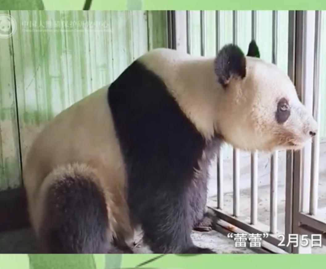 レイちゃん、そこから何が見えるのかな？ ふたりとも元気そうで