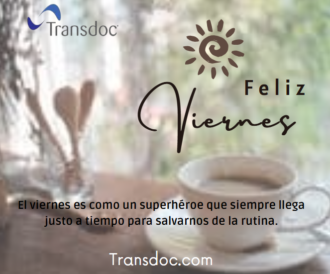 transdoctrabajos tweet media