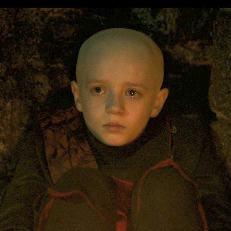 redoorlemontree's tweet image. can’t a boy run away, be bald and squire for a hedge knight?  he did nothing wrong