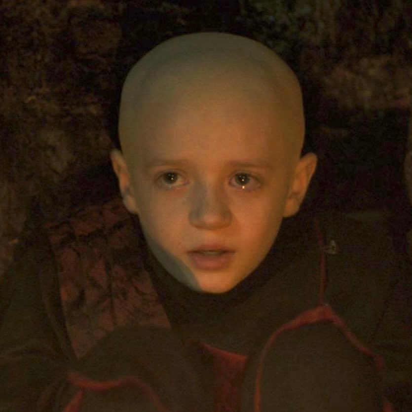 redoorlemontree's tweet image. can’t a boy run away, be bald and squire for a hedge knight?  he did nothing wrong