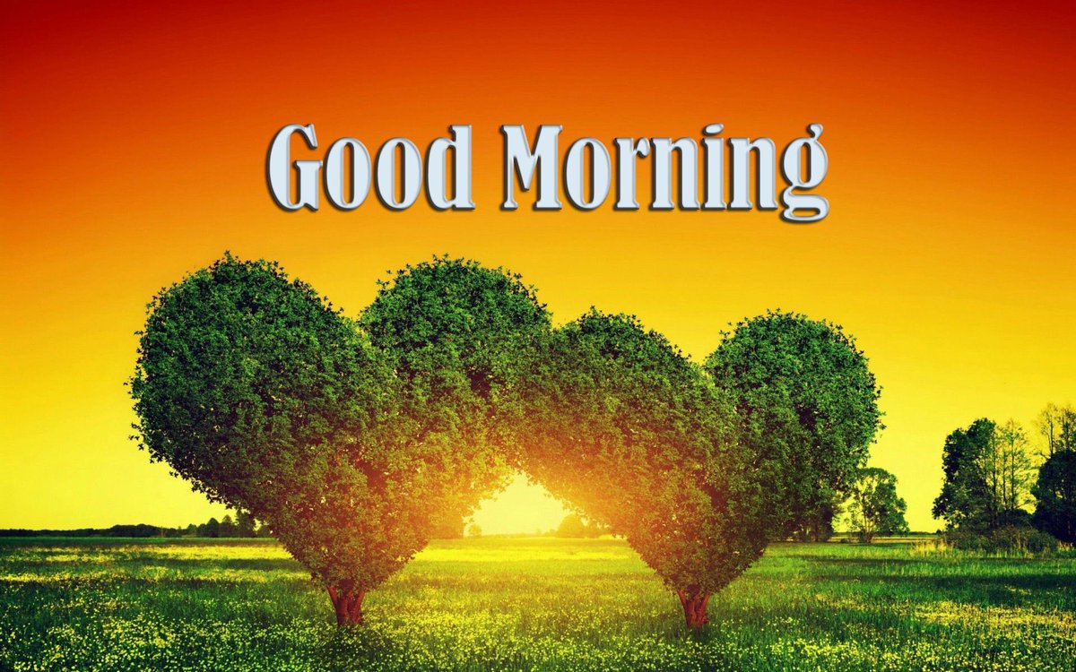 Hope you all have a fantastic day! #GoodMorning #Smile #StayPositive