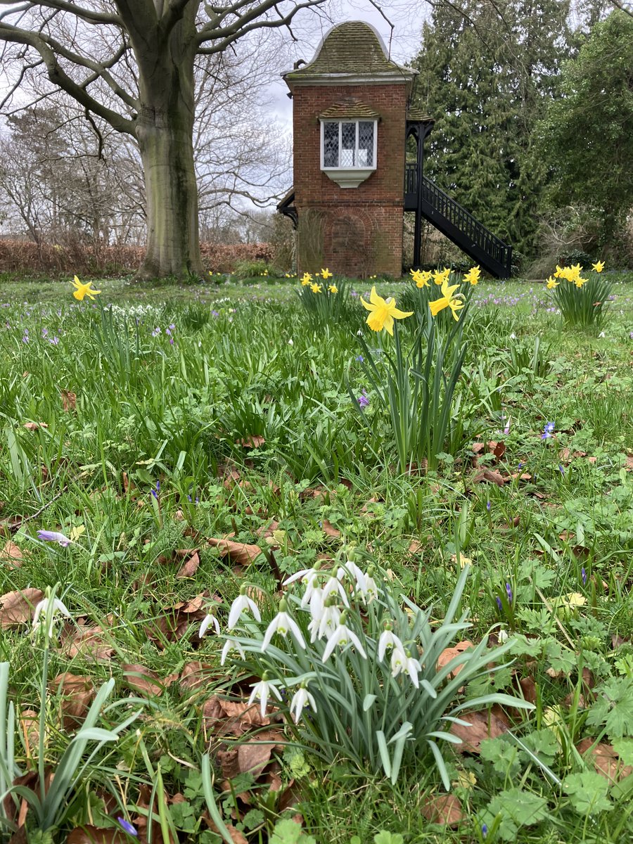 ShakesInstituteLib tweet media