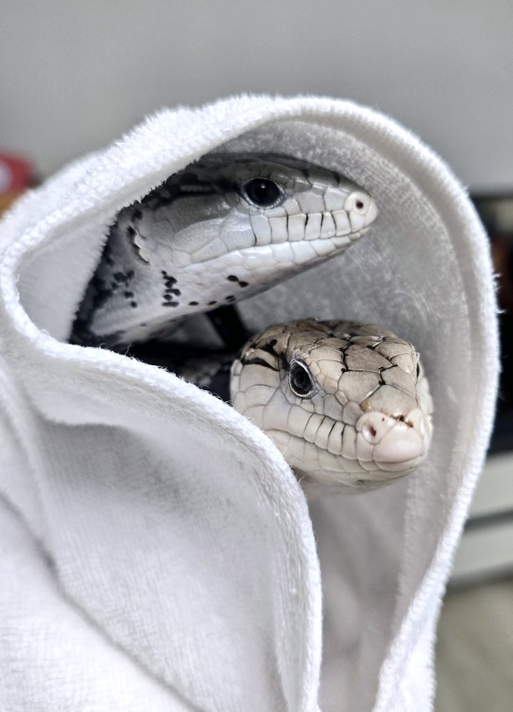 좀 친해지라고 온욕 같이했어요