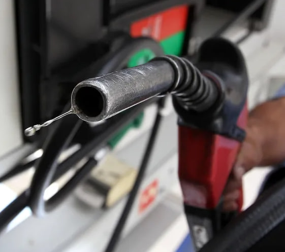 Camarote da República tweet media