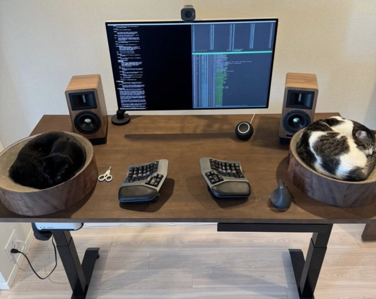 Watch King (bullrun arc) tweet media