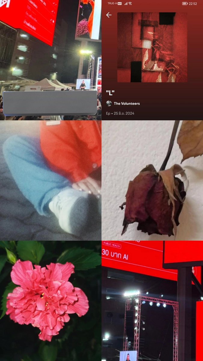 —darin, elsewhere tweet media