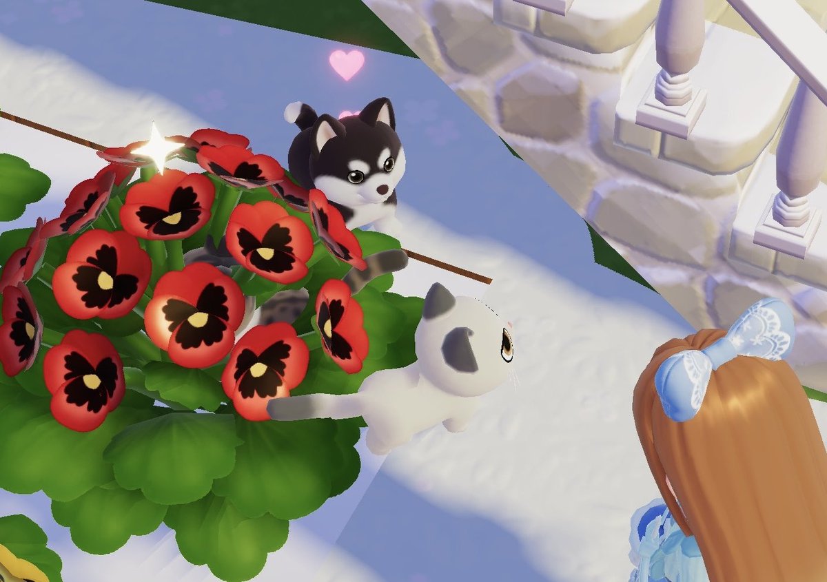 𝚂𝚘𝚞 tweet media