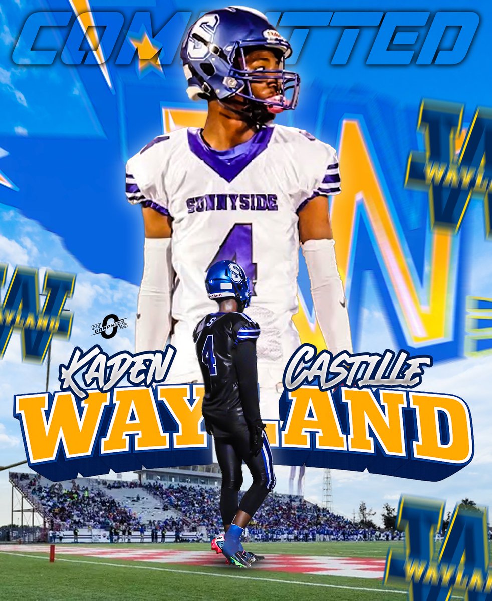 Kaden(KADO)Castille tweet media