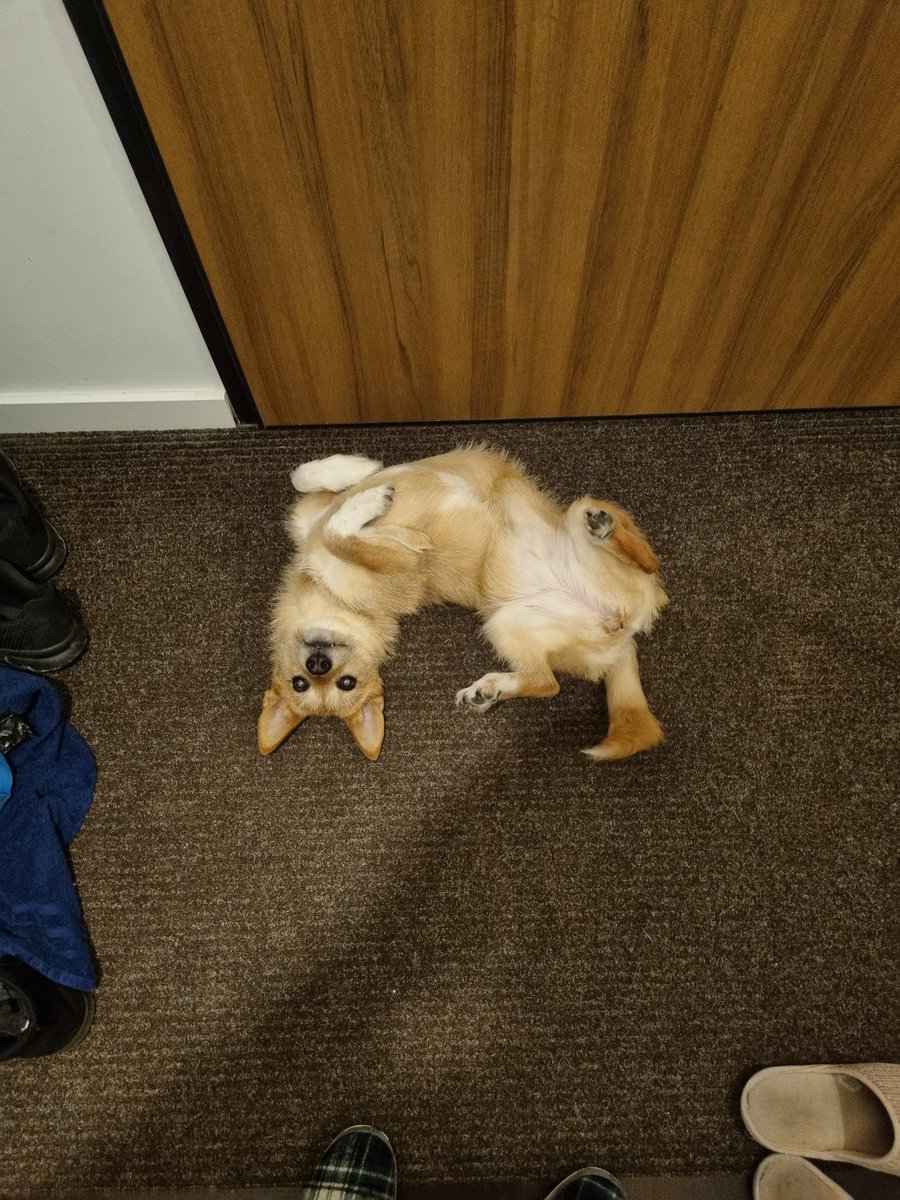 Eduardo Suárez 🇵🇱🇧🇻🇦🇺🇺🇦 tweet media