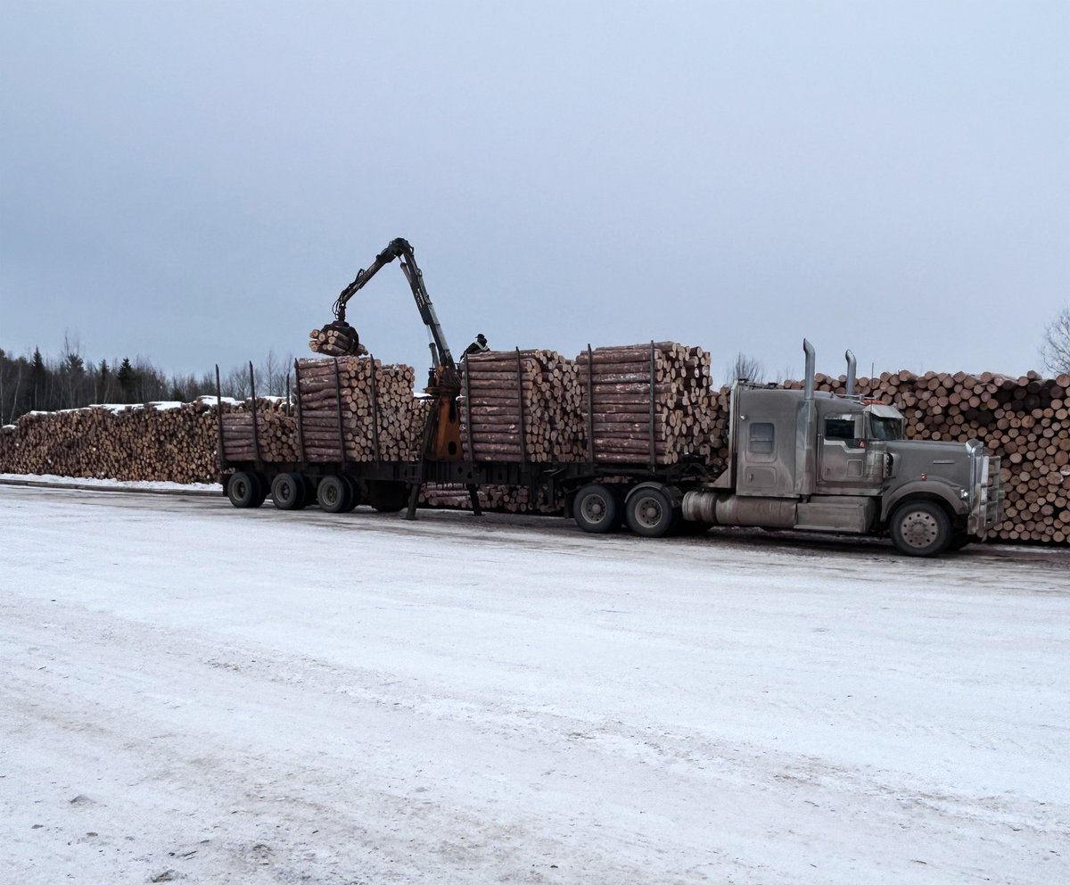 MarwoodLtd's tweet photo. Red pine logs being brought in to our sawmill. These will be transformed into high‑quality fencing components and distributed across CA and USA. By bringing in these red pine logs, we’re able to maximize recovery and ensure every part of each harvested tree is put to good use. https://t.co/NBh76m9TlQ