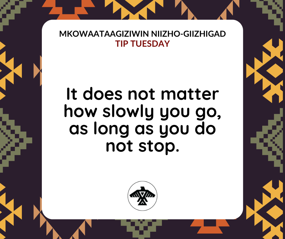 AnishNation's tweet image. Mkowaataagiziwin Niizho-Giizhigad
#TipTuesday

It does not matter how slowly you go, as long as you do not stop.