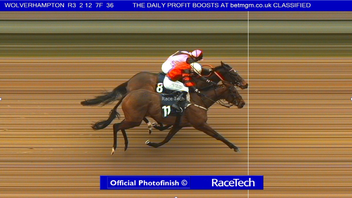 Joe Norris tweet media