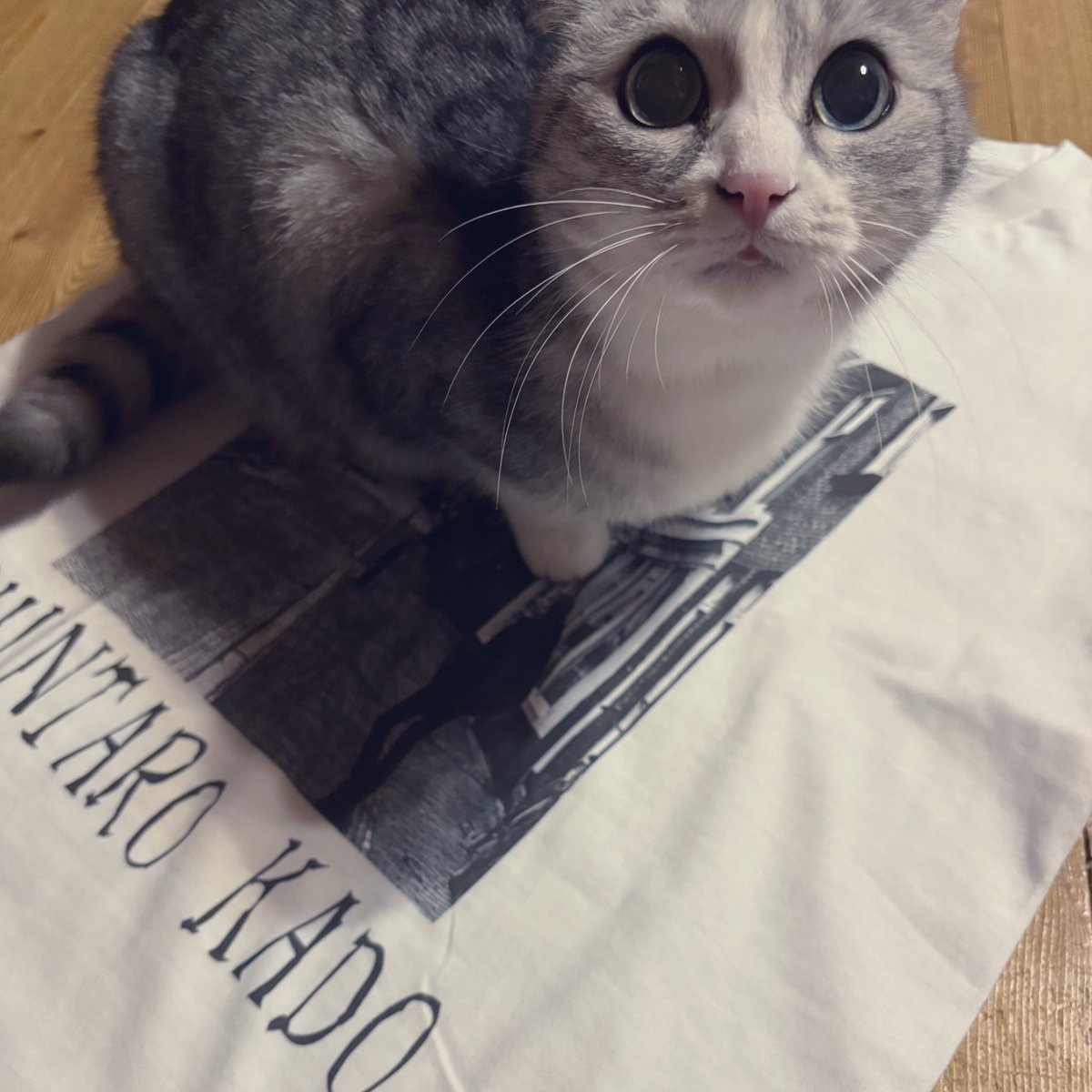 ありがとうございますʕ•ᴥ•ʔ