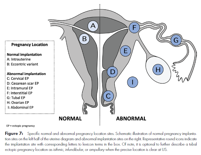 Francis Deng, MD tweet media