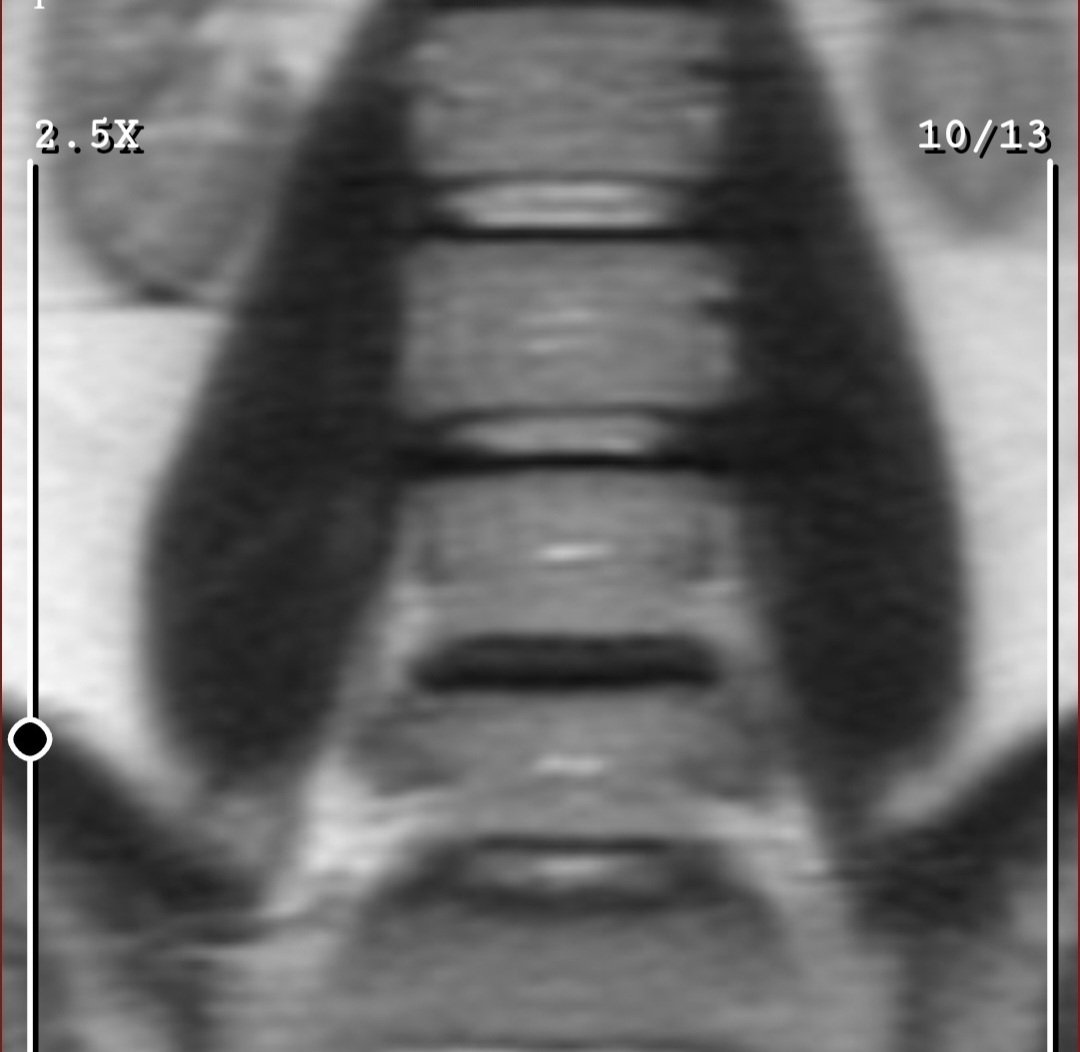 YETKİSİZ SERVİS tweet media