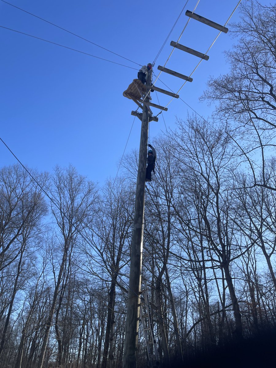 Mrs Griffiths tweet media