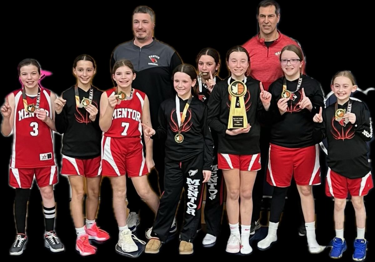 mentorbball tweet picture