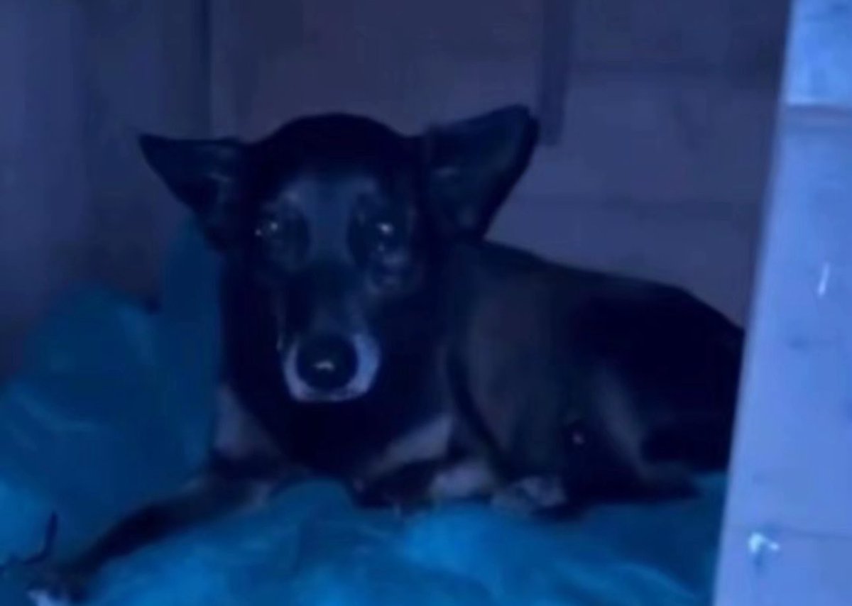 kaarolzx tweet media