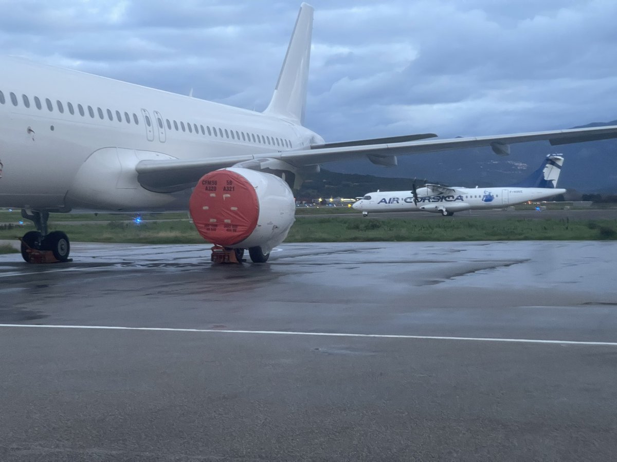 Niculaiu Antona Olivieri tweet media