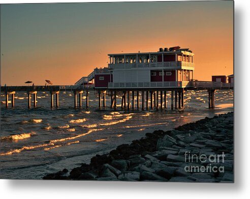 Diana Mary Sharpton tweet media