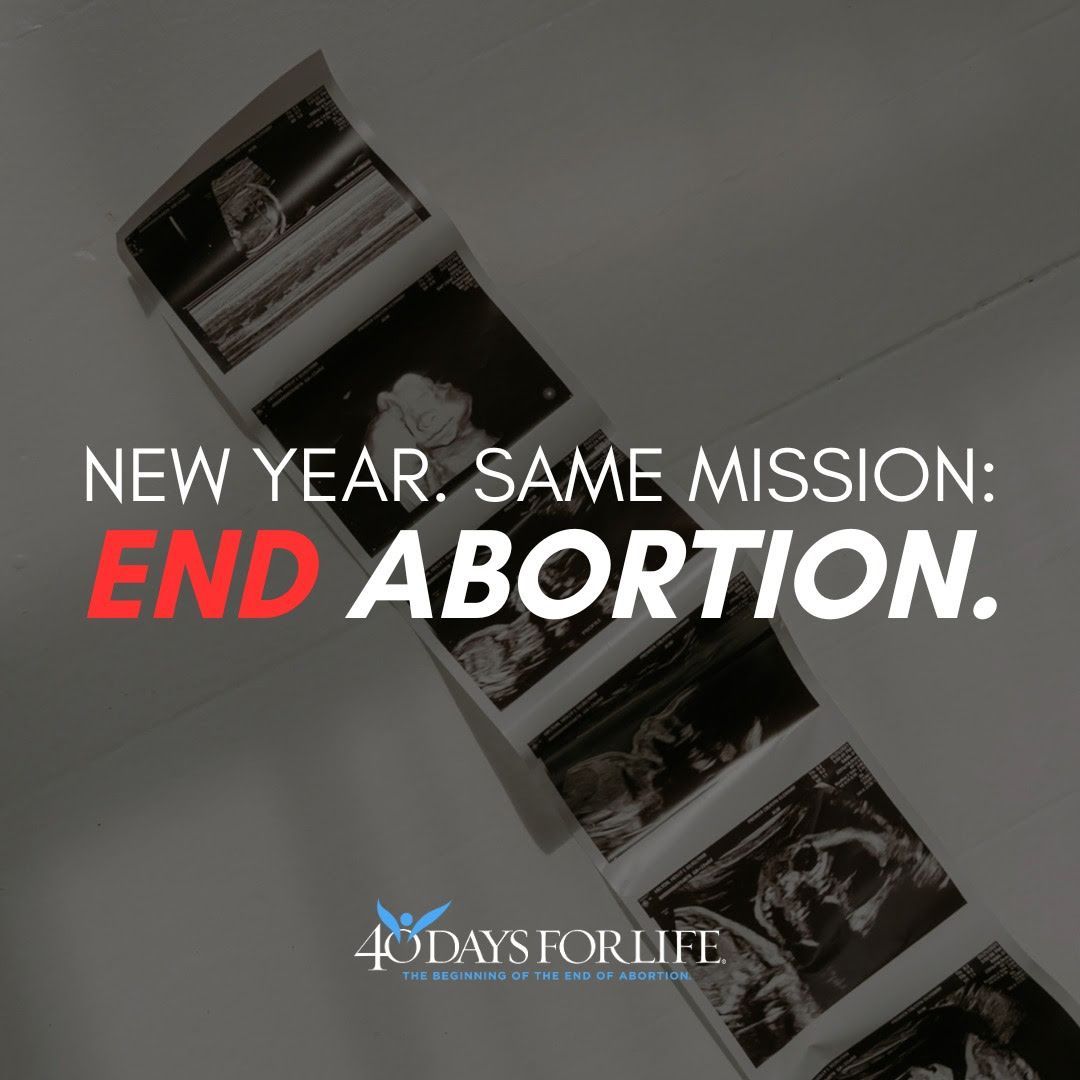 LifeNewsToo's tweet image. 