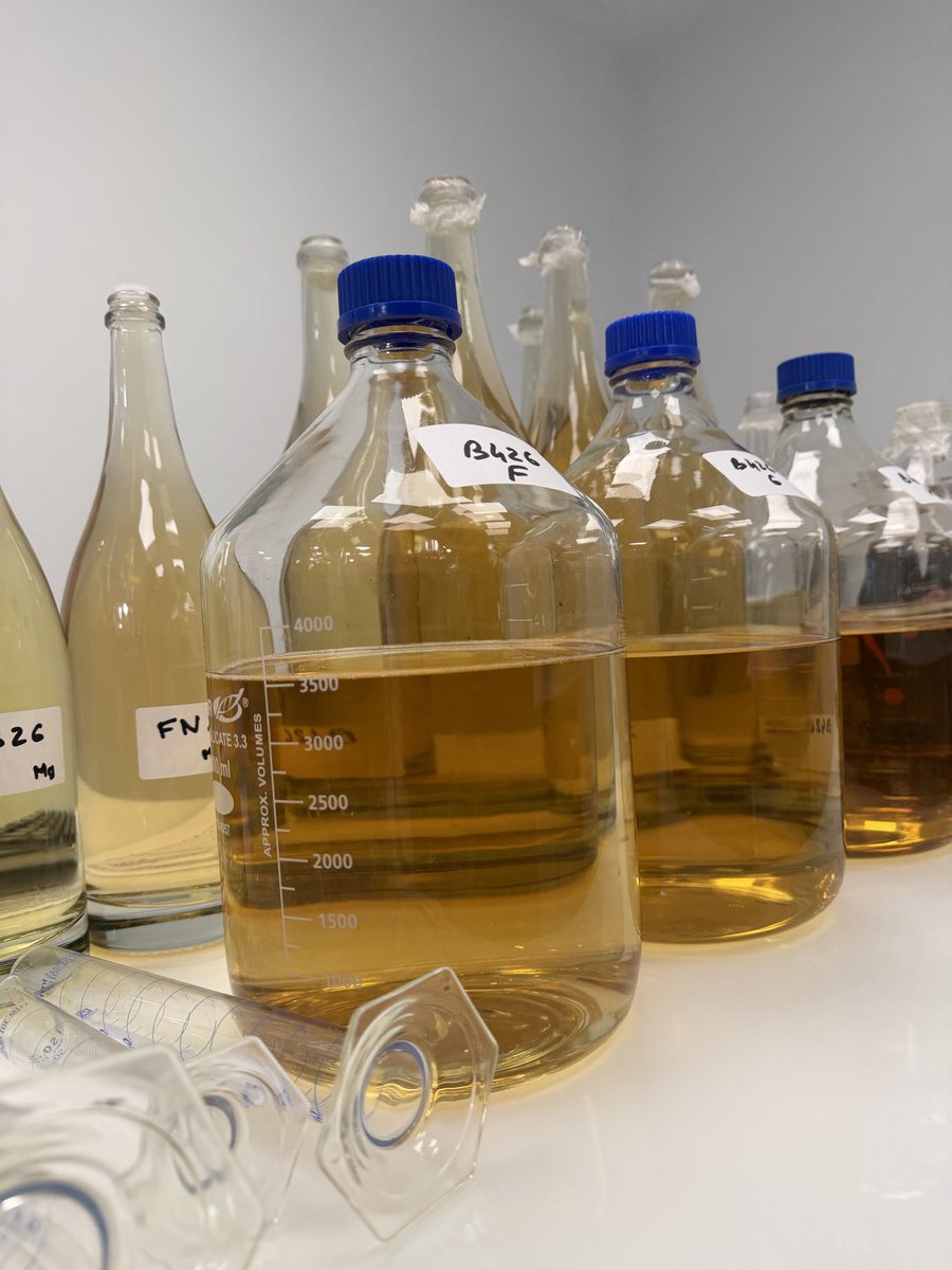 Louis Roederer tweet media