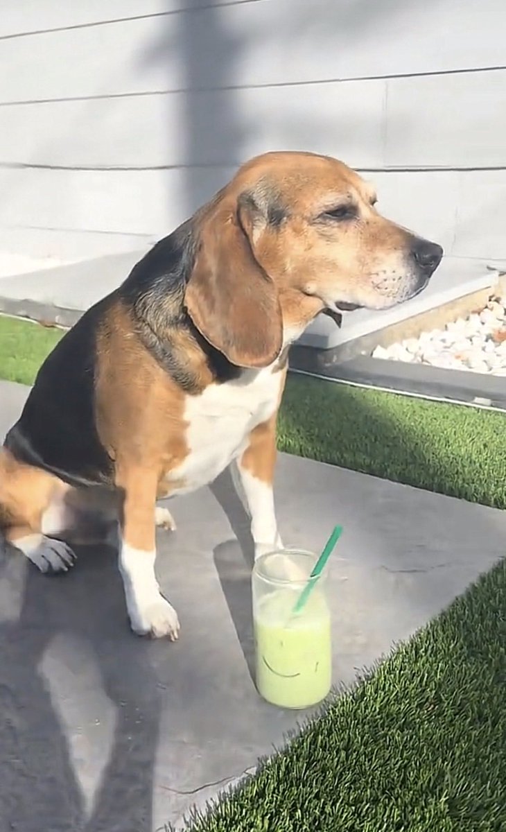 Jeremy Stranglefish (@ienjoyhavingfun) on Twitter photo 