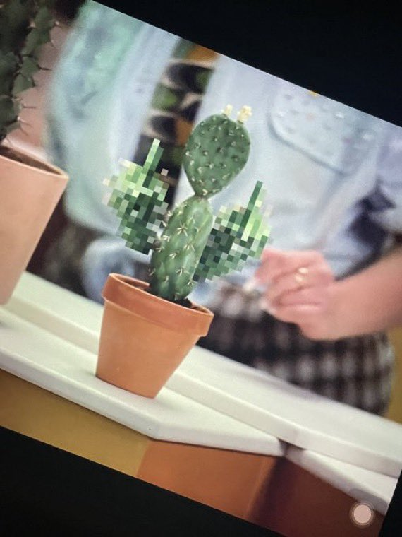 Nat ❤️‍🔥 tweet media