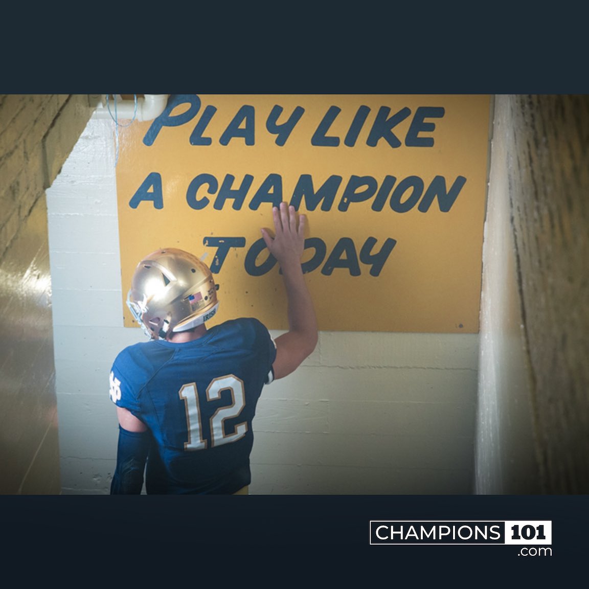 Travis Daugherty tweet media