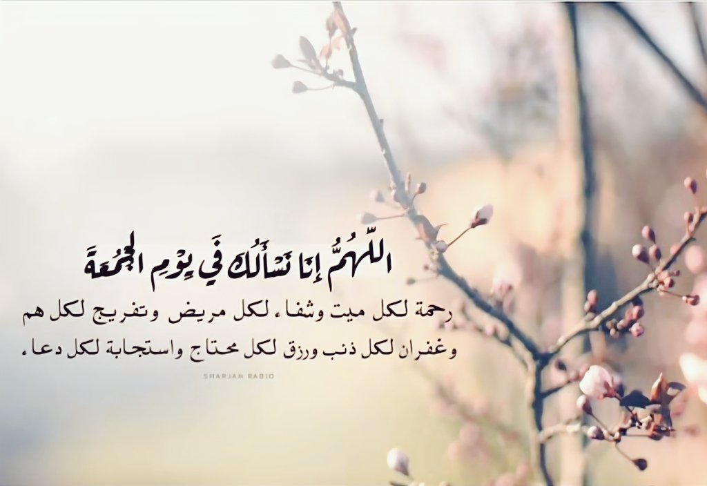 الـنـــايـف tweet media