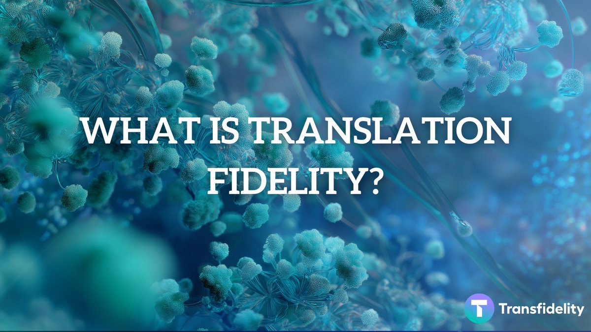 Transfidelity tweet media