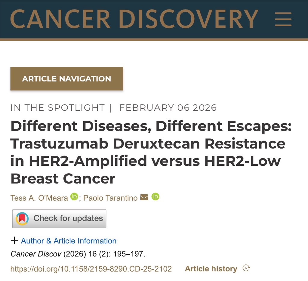 Paolo Tarantino tweet media