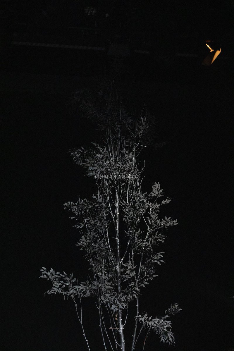 ᴅʙ ᴛᴏᴡɴ tweet media