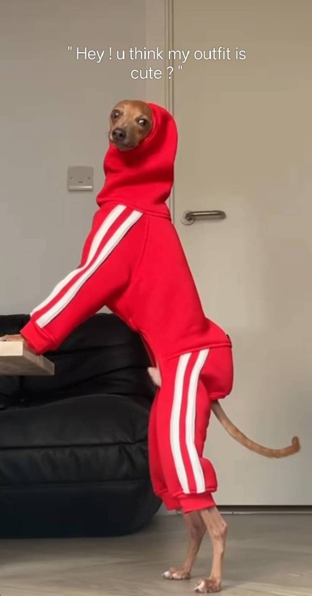 Hi ! Lemme introduce myself :>

LIVE !! twitch.tv/chiaimi_