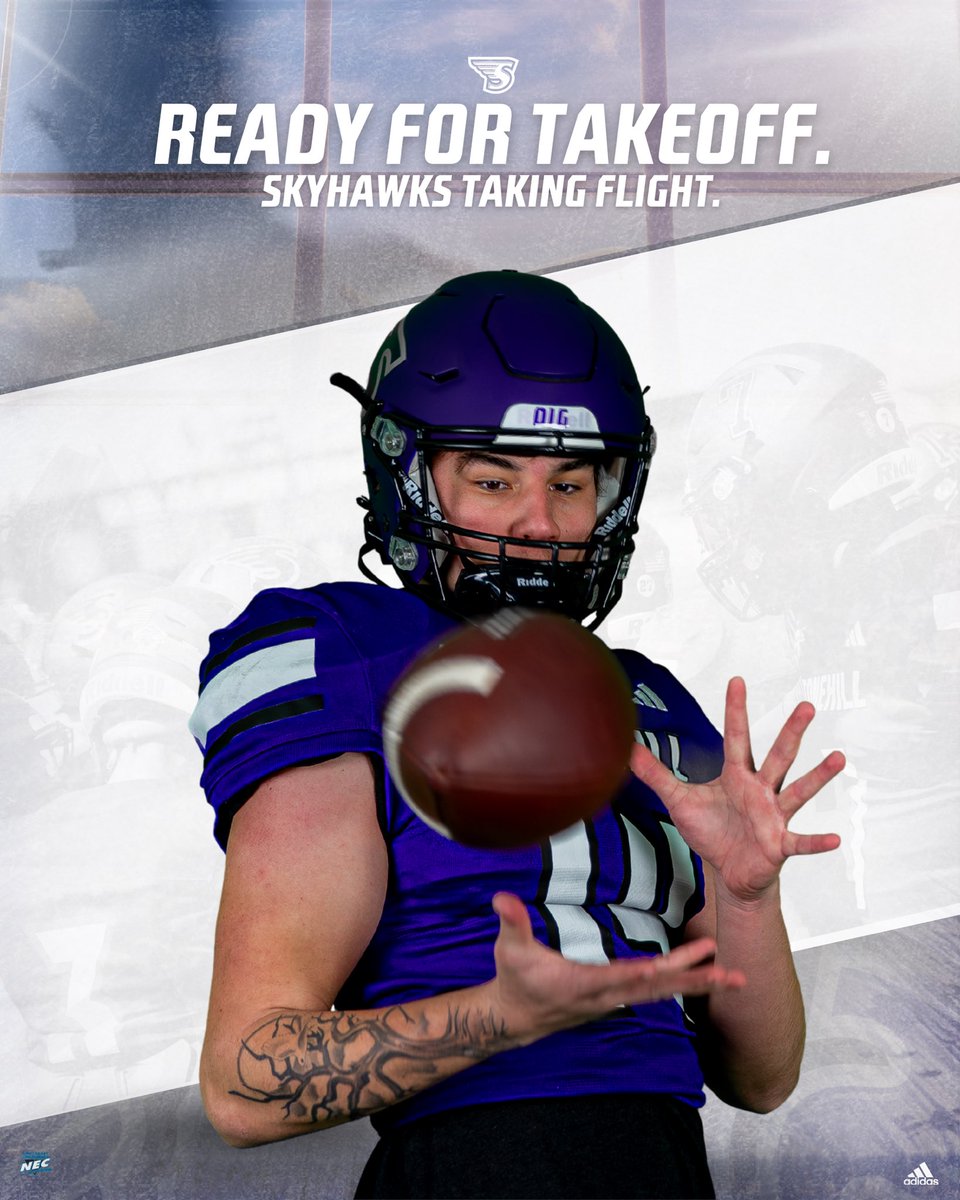 Stonehill Football #DIG tweet media