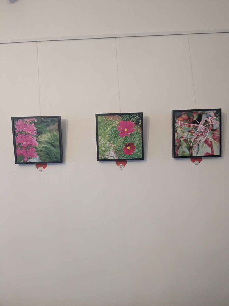 Cafe Deli Felice tweet media