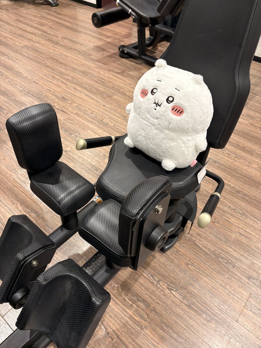 今日はジムの日だったので
太りすぎのちいを
一緒に連れて行ってあげた☺️