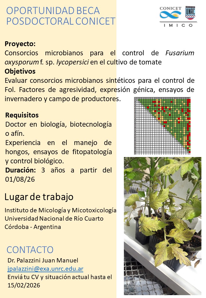 RedCLARA tweet media
