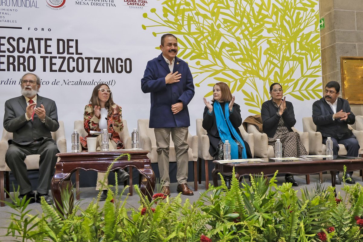 📍Durante el Foro “Rescate del Cerro Tezcotzingo”, organizado por el <a href="/senadomexicano/">Senado de México</a>, en representación de la Gobernadora <a href="/delfinagomeza/">Delfina Gómez A.</a>, el secretario Miguel Hernández Espejel reconoció el trabajo para rescatar este espacio, legado del Rey Nezahualcóyotl y orgullo de #Texcoco.✨