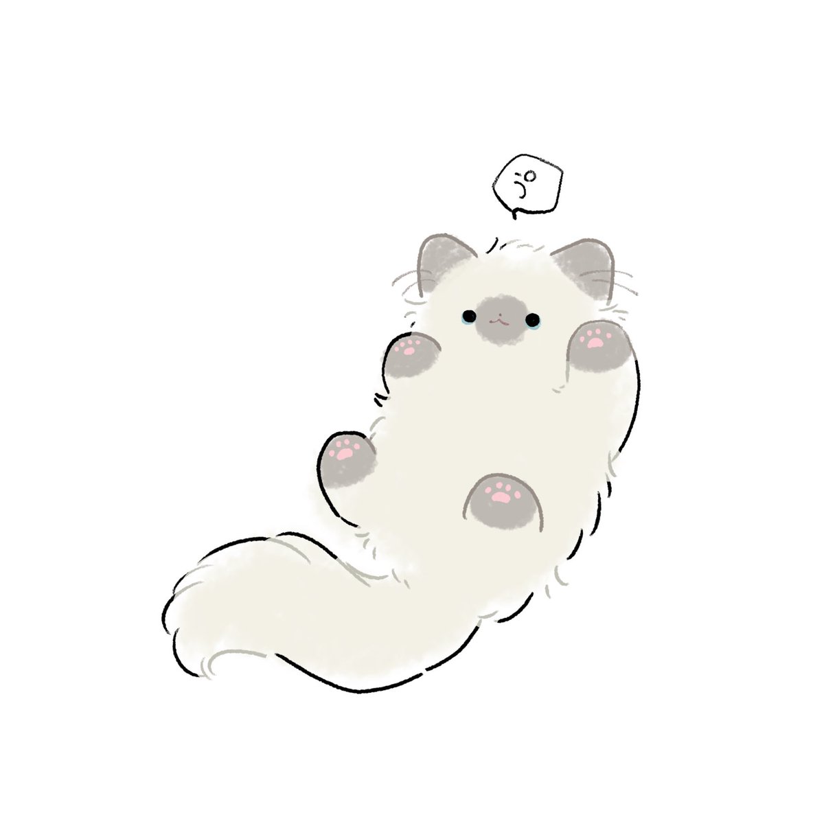 にくきゅうをみせてあげましょう