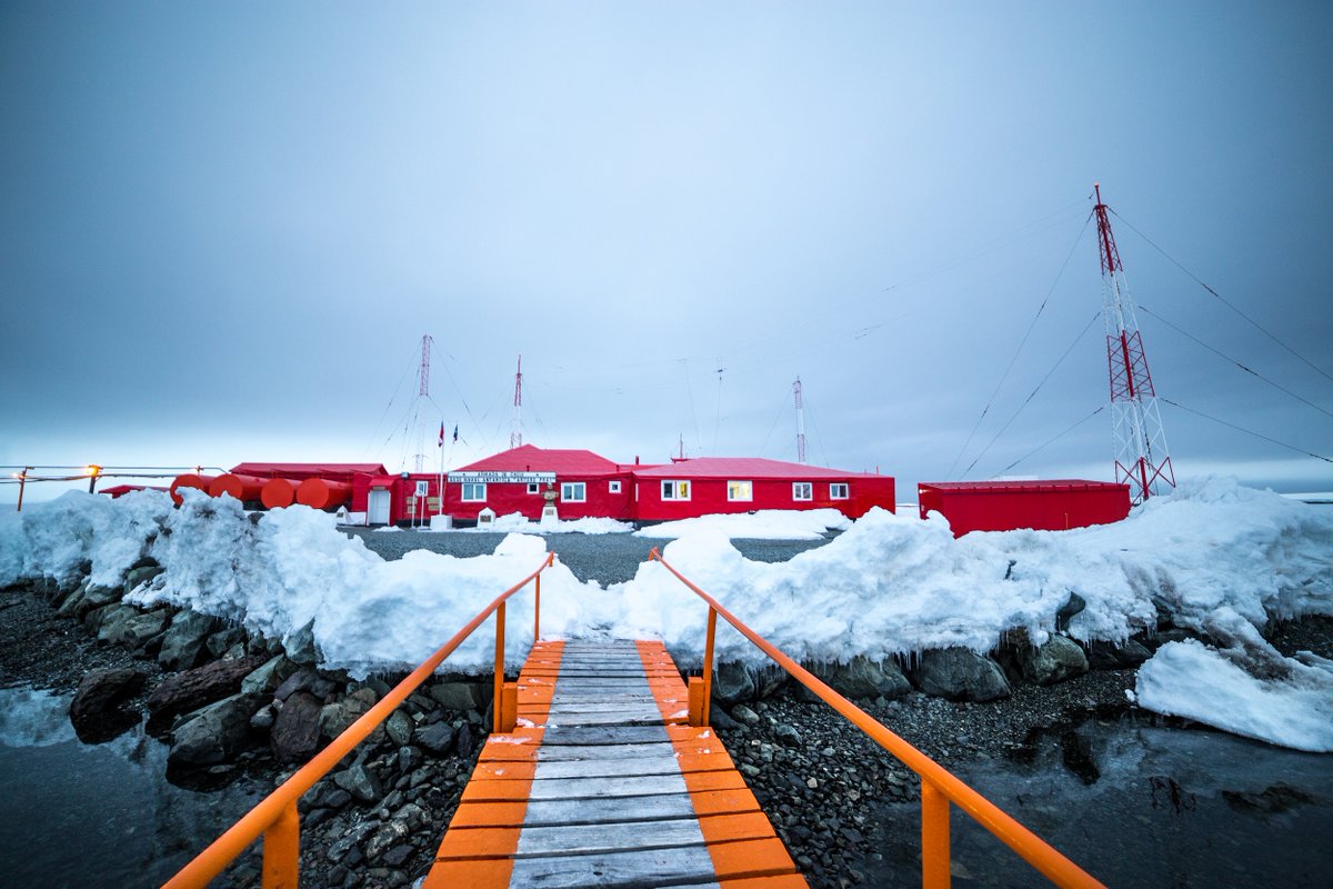 Instituto Milenio BASE tweet media