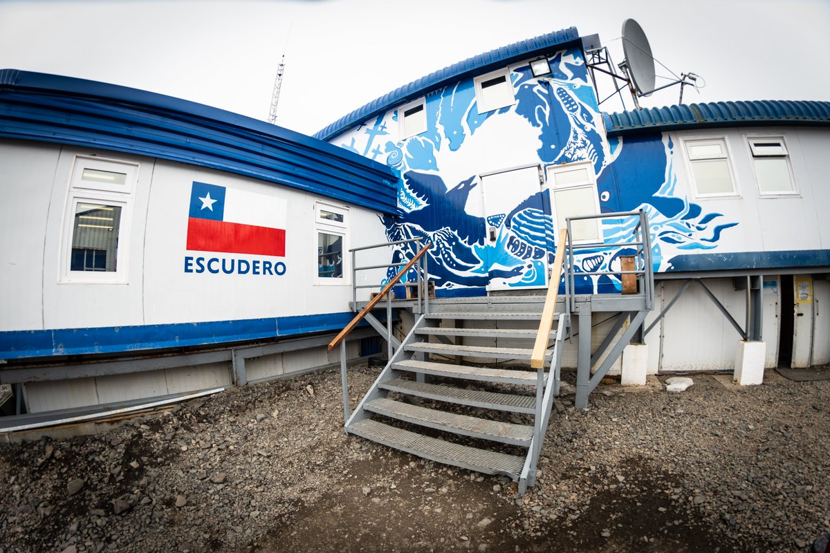 Instituto Milenio BASE tweet media