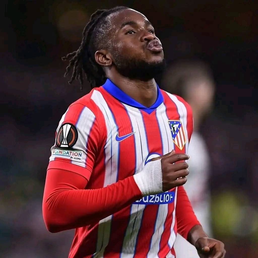 Albahaca tweet media