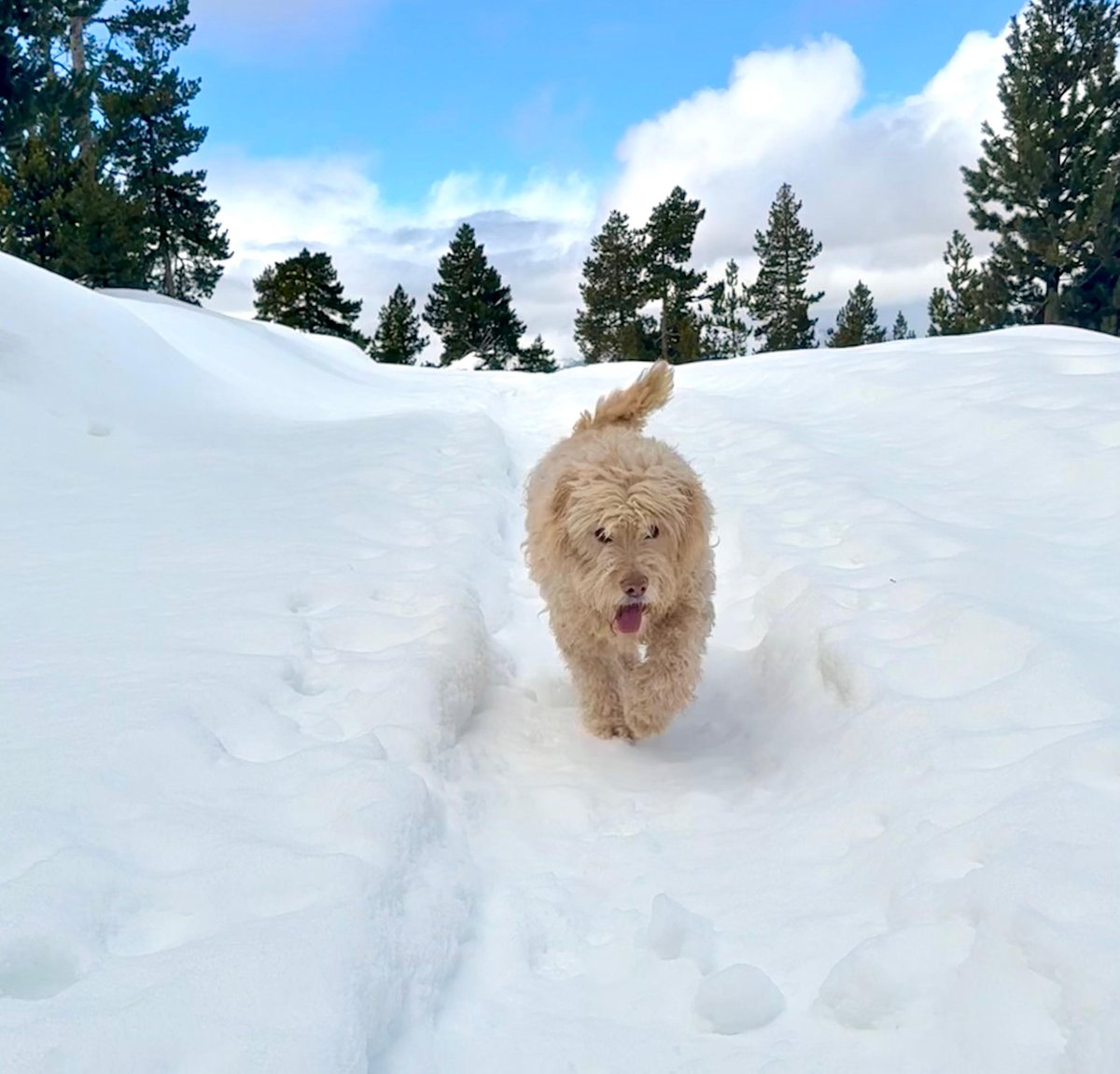 Carlos Checa Carrera tweet media
