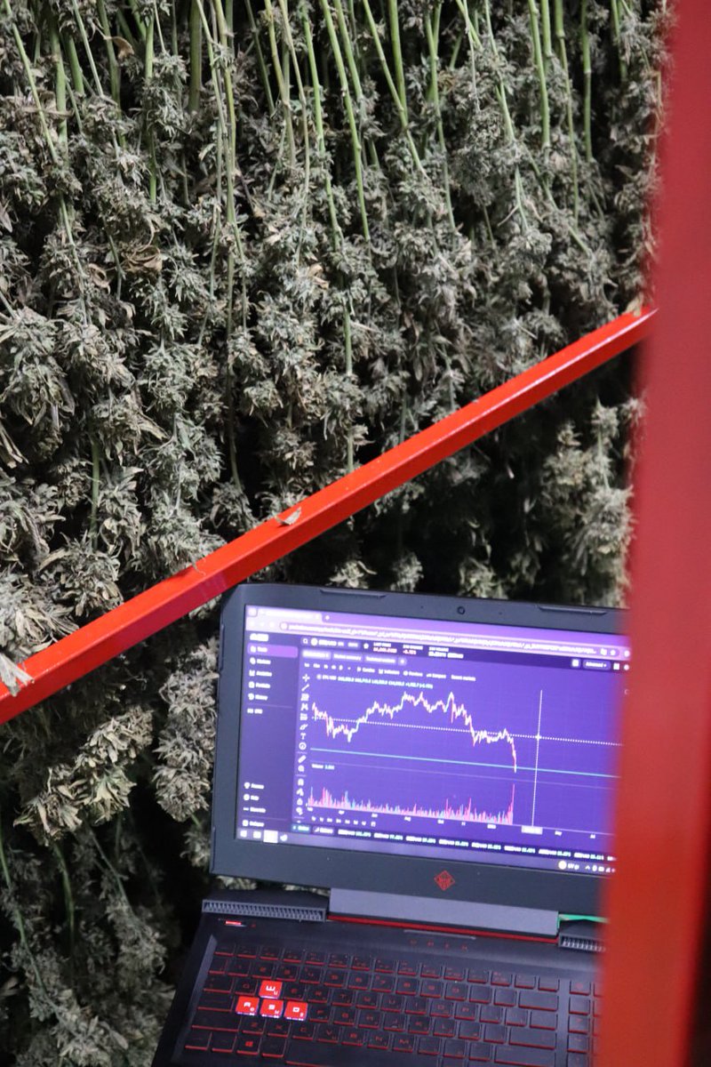 Well, friends… we worked, saved, invested, and did everything we could to get a little closer to the American🇺🇸 (or European… or even Asian) dream, right? 😅

But looks like this time our favorite diversification tools didn’t bring the dream any closer - actually, they pushed