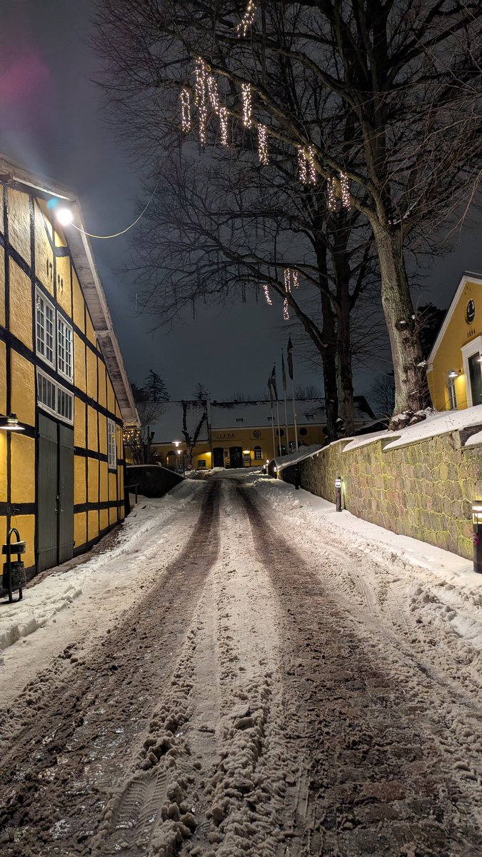 JuneMadsen2's tweet photo. @KarinaHaase God evening from Denmark. https://t.co/T1vdJOvYBO