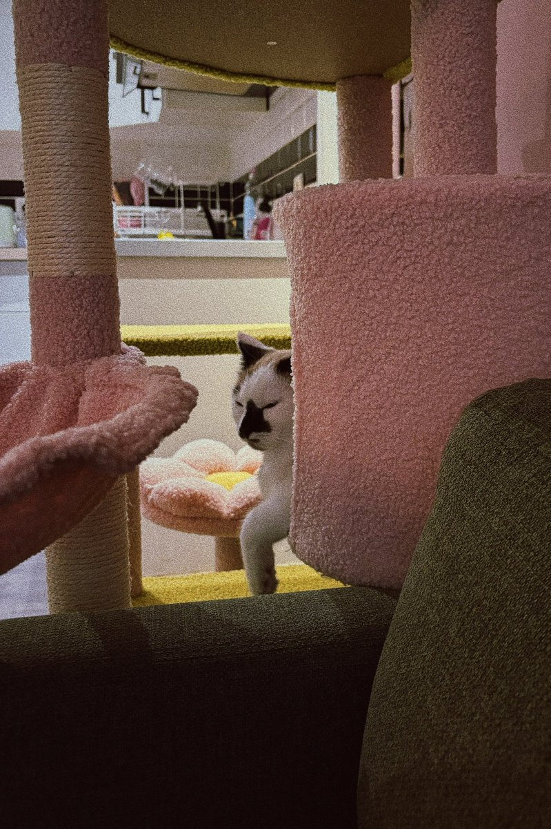 moïra ❀ tweet media